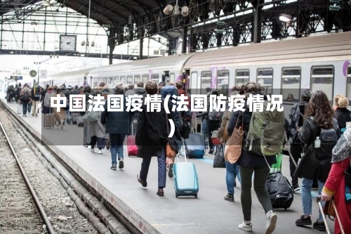 中国法国疫情(法国防疫情况)-第3张图片