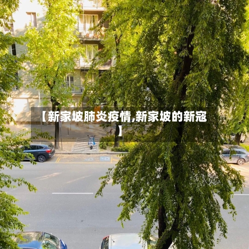 【新家坡肺炎疫情,新家坡的新寇】