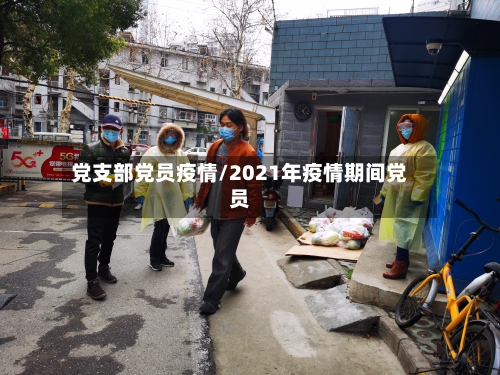 党支部党员疫情/2021年疫情期间党员