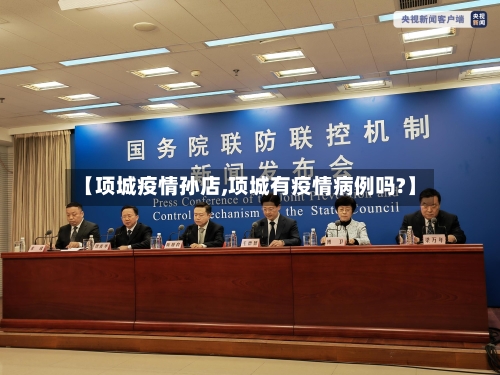 【项城疫情孙店,项城有疫情病例吗?】-第2张图片