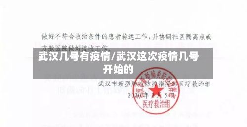 武汉几号有疫情/武汉这次疫情几号开始的-第2张图片