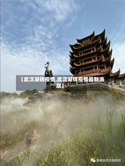 【武汉湖锦疫情,武汉湖锦疫情最新消息】