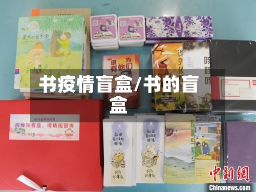书疫情盲盒/书的盲盒-第2张图片