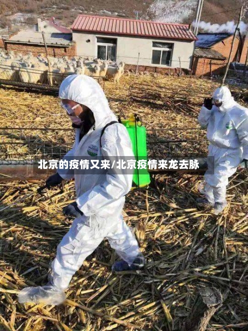 北京的疫情又来/北京疫情来龙去脉
