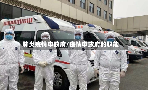 肺炎疫情中政府/疫情中政府的职能-第3张图片