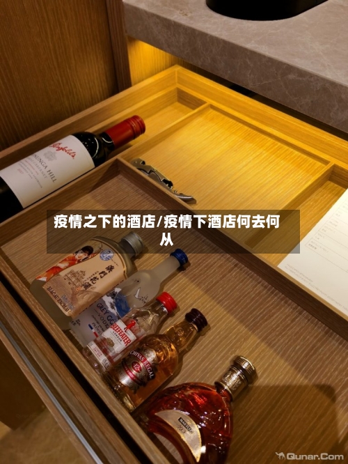 疫情之下的酒店/疫情下酒店何去何从