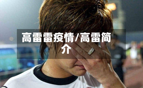 高雷雷疫情/高雷简介