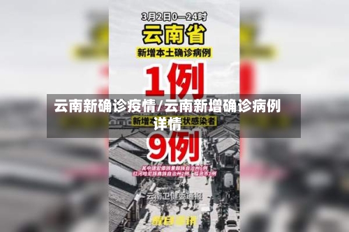 云南新确诊疫情/云南新增确诊病例详情-第2张图片
