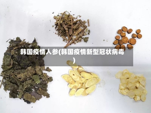 韩国疫情人参(韩国疫情新型冠状病毒)-第2张图片