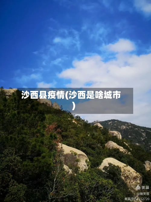 沙西县疫情(沙西是啥城市)-第2张图片