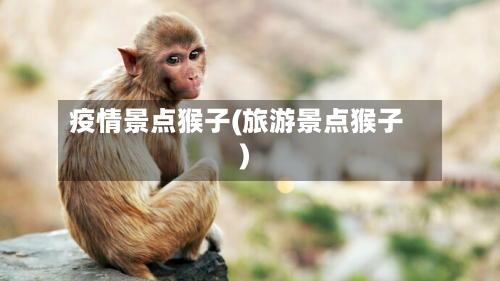 疫情景点猴子(旅游景点猴子)