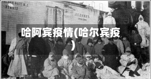 哈阿宾疫情(哈尔宾疫)