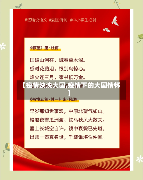 【疫情泱泱大国,疫情下的大国情怀】-第2张图片