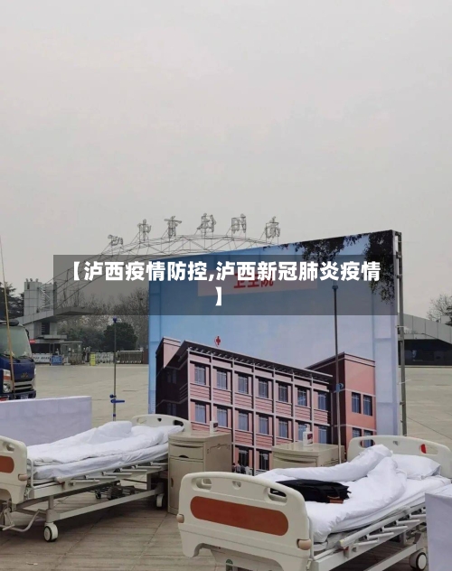 【泸西疫情防控,泸西新冠肺炎疫情】-第2张图片