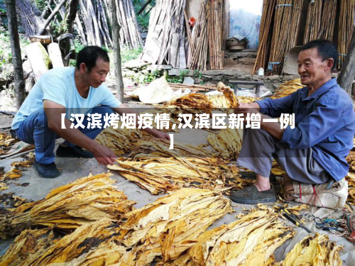 【汉滨烤烟疫情,汉滨区新增一例】