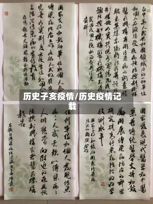 历史子亥疫情/历史疫情记载-第2张图片