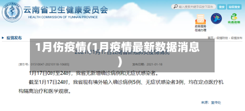 1月伤疫情(1月疫情最新数据消息)-第3张图片