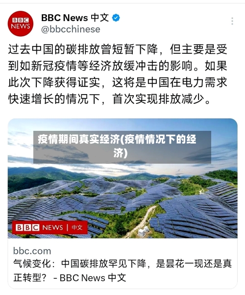 疫情期间真实经济(疫情情况下的经济)