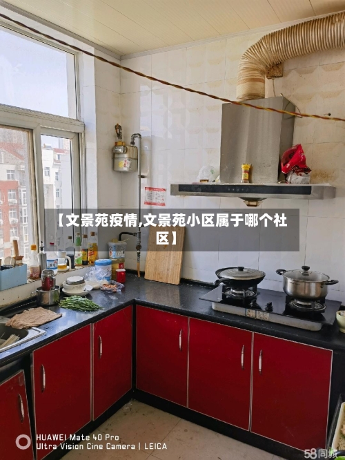 【文景苑疫情,文景苑小区属于哪个社区】-第2张图片