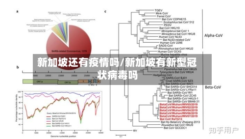 新加坡还有疫情吗/新加坡有新型冠状病毒吗