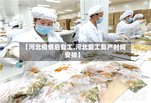 【河北疫情后复工,河北复工复产时间安排】-第3张图片