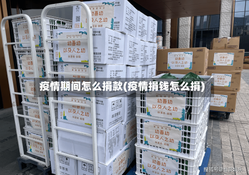 疫情期间怎么捐款(疫情捐钱怎么捐)