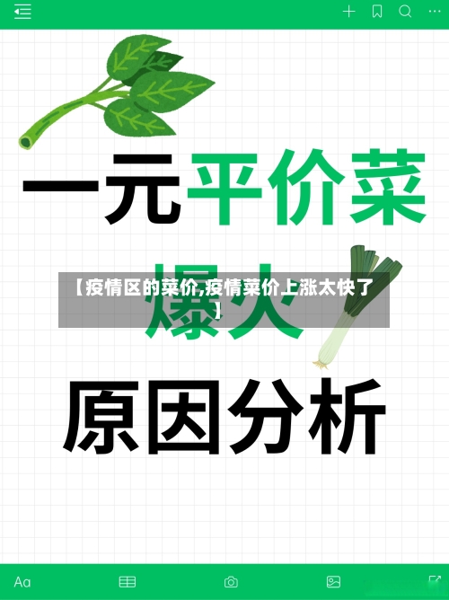 【疫情区的菜价,疫情菜价上涨太快了】