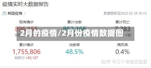 2月的疫情/2月份疫情数据图