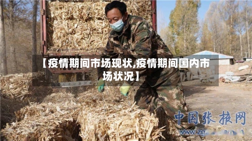 【疫情期间市场现状,疫情期间国内市场状况】
