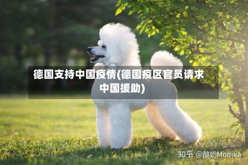 德国支持中国疫情(德国疫区官员请求中国援助)