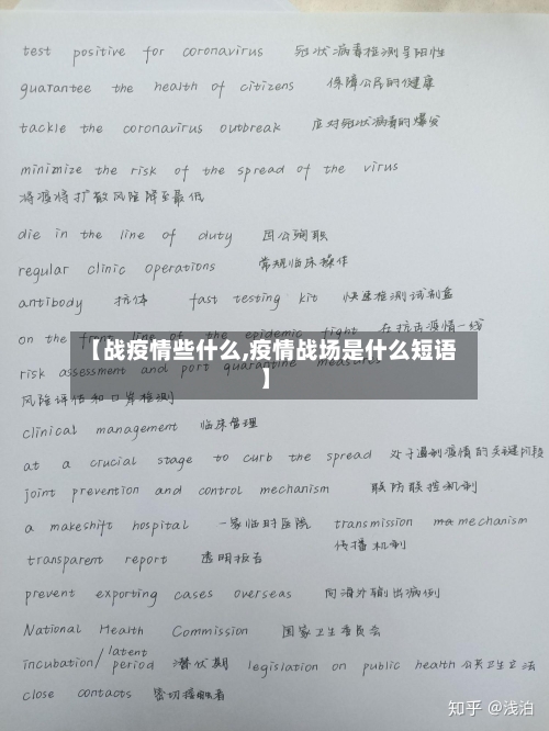 【战疫情些什么,疫情战场是什么短语】-第3张图片