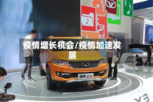 疫情增长机会/疫情加速发展