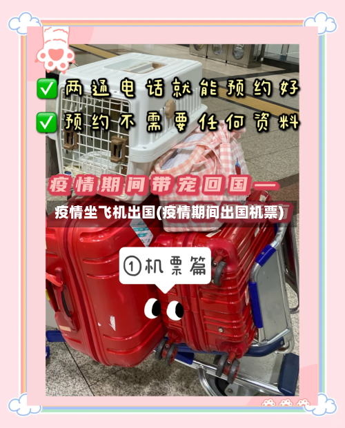 疫情坐飞机出国(疫情期间出国机票)-第2张图片