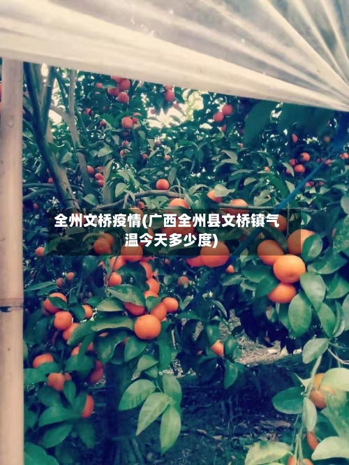 全州文桥疫情(广西全州县文桥镇气温今天多少度)