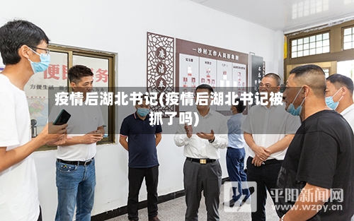 疫情后湖北书记(疫情后湖北书记被抓了吗)