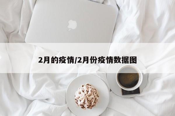 2月的疫情/2月份疫情数据图